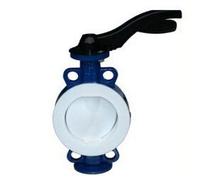 撸撸社软件下载免费版