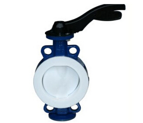 撸撸社软件下载免费版