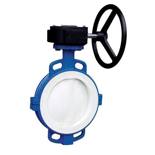 撸撸社软件下载免费版