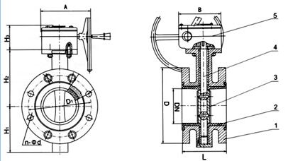 香蕉视频撸撸社正版APP快速下载的设计问题